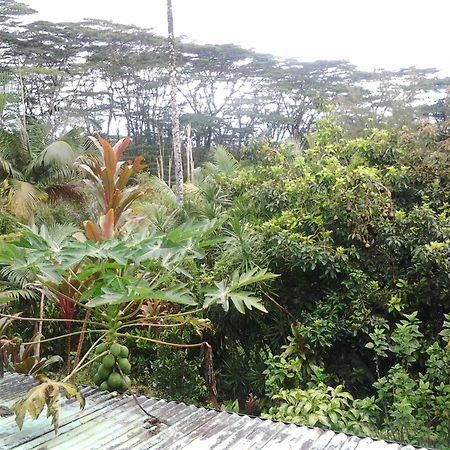 Lava Tree Tropic Inn Pahoa Exteriér fotografie