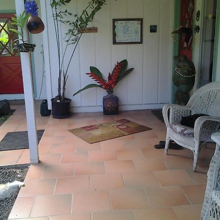 Lava Tree Tropic Inn Pahoa Exteriér fotografie