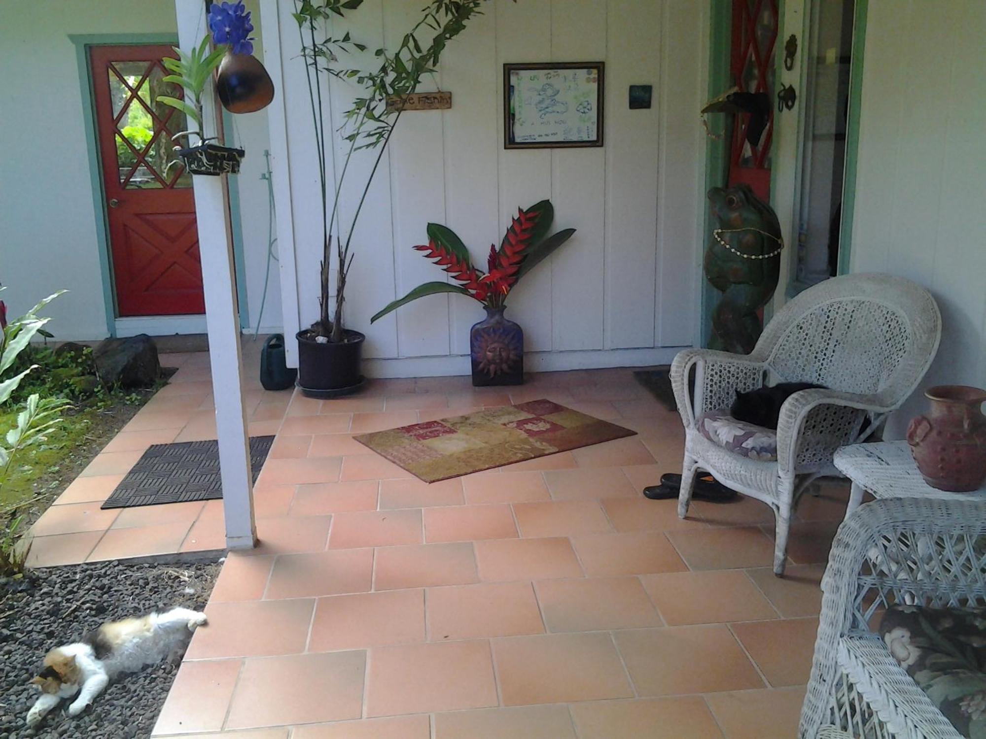 Lava Tree Tropic Inn Pahoa Exteriér fotografie