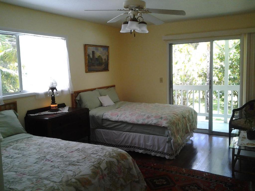 Lava Tree Tropic Inn Pahoa Pokoj fotografie