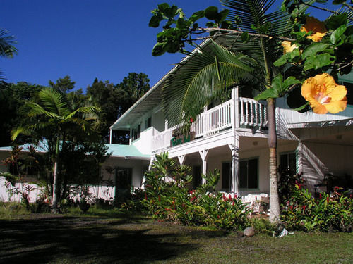 Lava Tree Tropic Inn Pahoa Exteriér fotografie